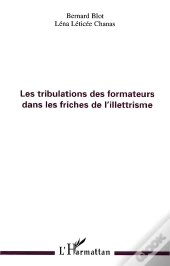Les Tribulations Des Formateurs Dans Les Friches De L'Illettrisme