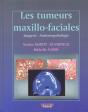 Les Tumeurs Maxillo-Faciales ; Imagerie, Anatomopathologie - Preview