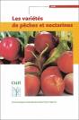 Les Variétés De Pêches Et Nectarines - Preview