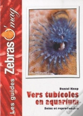 Les Vers Tubicoles En Aquarium