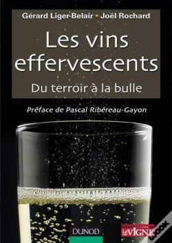 Capa do artigo Les Vins Effervescents ; Du Terroir À La Bulle