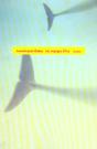 Les Voyages D'Ino - Preview