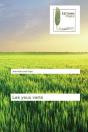 Les Yeux Verts - Preview