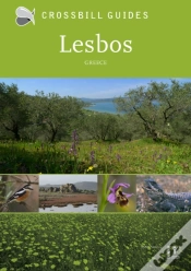 Capa do artigo Lesbos