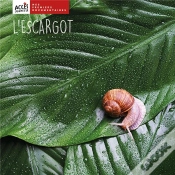 Capa do artigo L