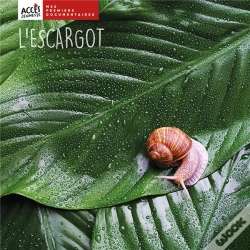 Capa do artigo L'Escargot