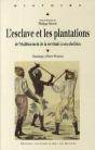 L'Esclave Et Les Plantations ; De L'Établissement De La Servitude À Son Abolition - Preview