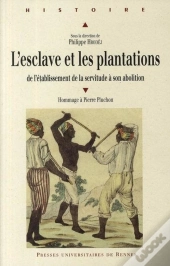 L'Esclave Et Les Plantations ; De L'Établissement De La Servitude À Son Abolition