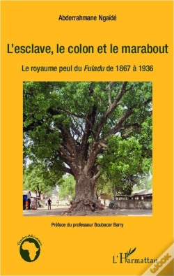 Capa do artigo L'Esclave, Le Colon Et Le Marabout ; Le Royaume Perdu Du Fuladu De 1867 À 1936