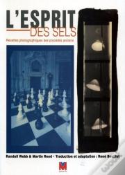 L'Esprit Des Sels ; Recettes Photographiques Des Procédés Anciens
