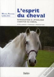 Capa do artigo L