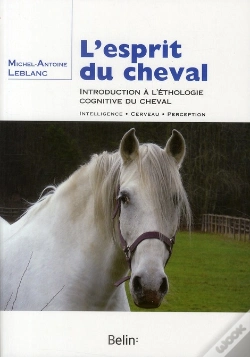 Capa do artigo L'Esprit Du Cheval