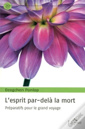 L'Esprit Par-Delà La Mort ; Préparatifs Pour Le Grand Voyage