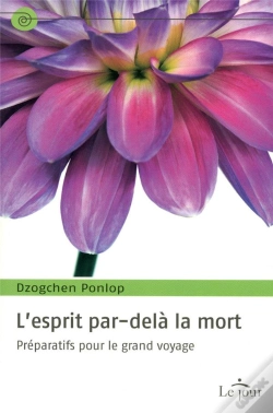 Capa do artigo L'Esprit Par-Delà La Mort ; Préparatifs Pour Le Grand Voyage
