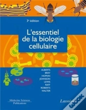 Capa do artigo L