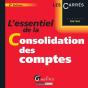 L'Essentiel De La Consolidation Des Comptes, 2eme Edition - Preview