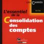 L'Essentiel De La Consolidation - Preview