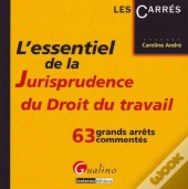 L'Essentiel De La Jurisprudence Du Droit Du Travail