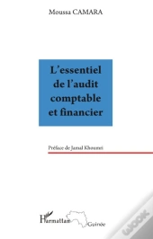 L'Essentiel De L'Audit Comptable Et Financier