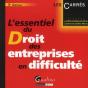 L'Essentiel Du Droit De Entreprises En Difficultes - 3eme Edition - Preview