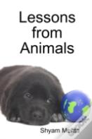 Lessons From Animals