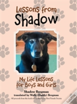 Capa do artigo Lessons From Shadow