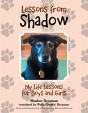 Lessons From Shadow - Preview