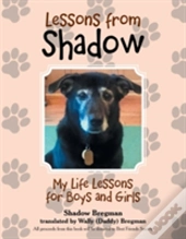Lessons From Shadow