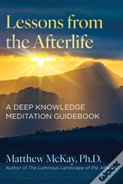 Capa do artigo Lessons From The Afterlife