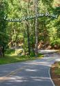 Lessons From The Road - Preview