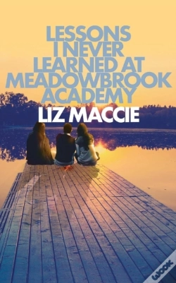 Capa do artigo Lessons I Never Learned At Meadowbrook Academy