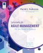 Lessons In Agile Management - Preview