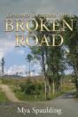 Lessons Learned On A Broken Road - Preview