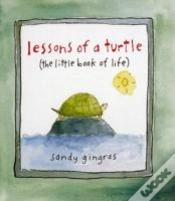 Capa do artigo Lessons Of A Turtle