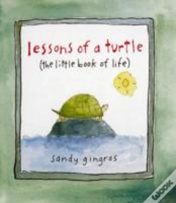 Capa do artigo Lessons Of A Turtle