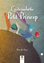 L'Èstrambòtic Petit Príncep - Preview