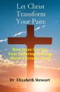 Let Christ Transform Your Pain - Preview