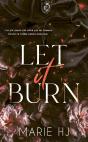 Let It Burn - Preview