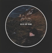 Capa do artigo Let It Die - Vinil