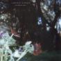 Let Them Be Alien - Vinil - Preview