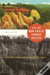Let Us Now Praise Famous Gullies