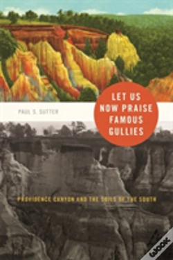 Capa do artigo Let Us Now Praise Famous Gullies