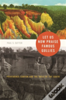 Let Us Now Praise Famous Gullies