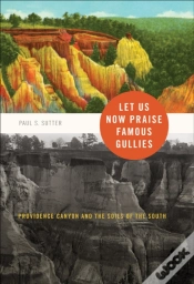 Capa do artigo Let Us Now Praise Famous Gullies