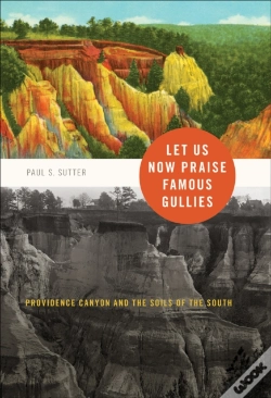 Capa do artigo Let Us Now Praise Famous Gullies