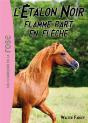 L'Etalon Noir 12 - Flamme Part En Fleche - Preview