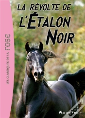 Capa do artigo L