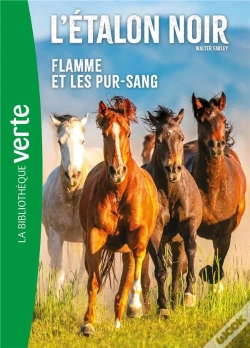 Capa do artigo L'Etalon Noir Ned 11