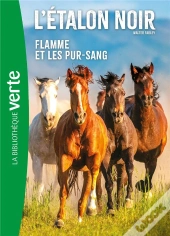 L'Etalon Noir Ned 11
