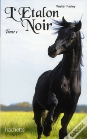 Capa do artigo L